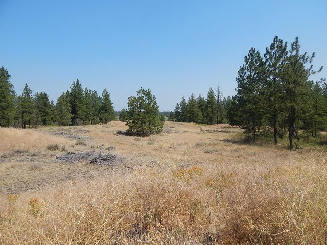 249014 W Kitt Rd, Reardan, WA 99029
