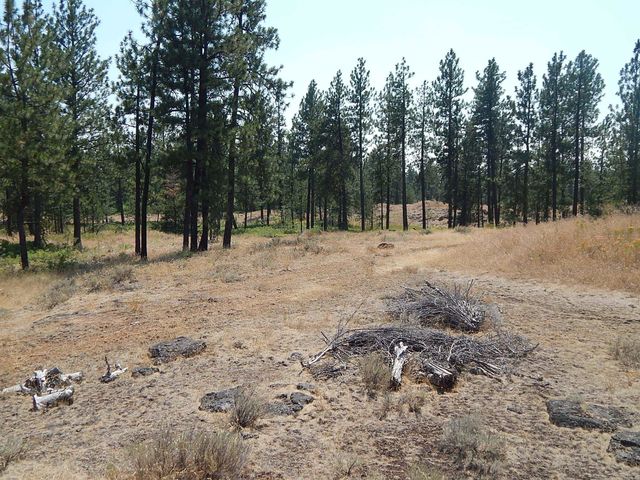 249014 W Kitt Rd, Reardan, WA 99029
