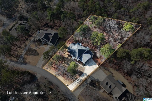 176 NEW HOPE MTN ROAD, Indian Springs Village, AL 35124