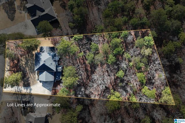 176 NEW HOPE MTN ROAD, Indian Springs Village, AL 35124