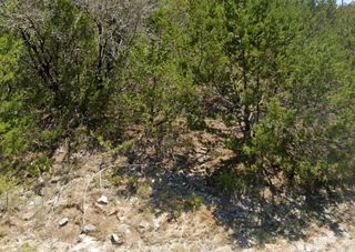 4705 Evening View Drive, Granbury, TX 76048