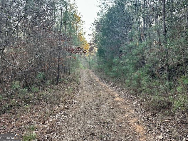 0 - TRACT 3 Mt Zion Church Road, Whitesburg, GA 30185
