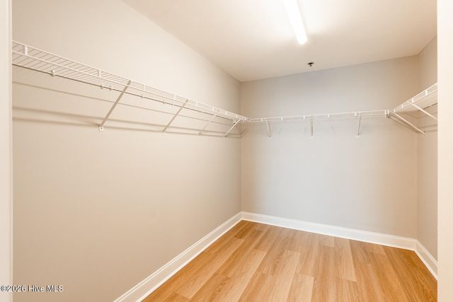 14 Grace Street Apt 1111, Wilmington, NC 28401