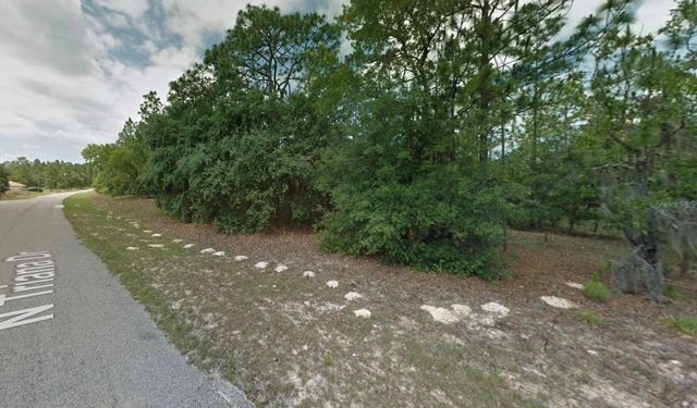 8116 N TRIANA DRIVE, Citrus Springs, FL 34434