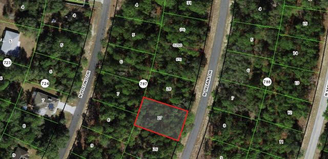 8116 N TRIANA DRIVE, Citrus Springs, FL 34434