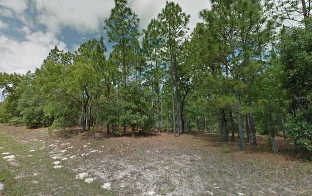 8116 N TRIANA DRIVE, Citrus Springs, FL 34434