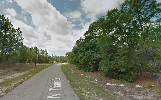 8116 N TRIANA DRIVE, Citrus Springs, FL 34434