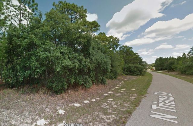 8116 N TRIANA DRIVE, Citrus Springs, FL 34434