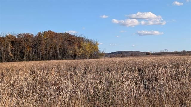 N3126 Oak Road, Markesan, WI 53946