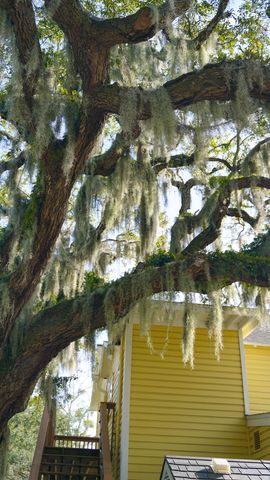 14 Sanchez Ave A, St Augustine, FL 32084