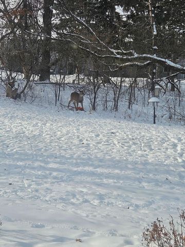 12118 Bluebird Circle NW, Coon Rapids, MN 55448