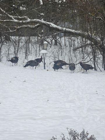 12118 Bluebird Circle NW, Coon Rapids, MN 55448