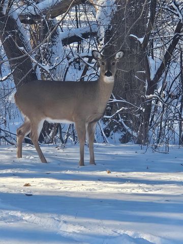 12118 Bluebird Circle NW, Coon Rapids, MN 55448