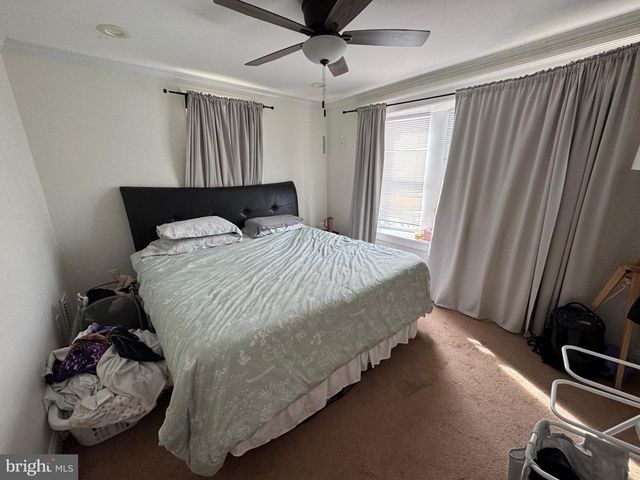 113 ISABEL AVE, Glenolden, PA 19036