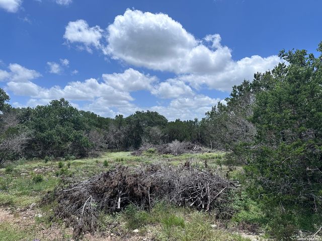 947 SERENE PARK DR, Spring Branch, TX 78070