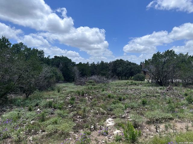 947 SERENE PARK DR, Spring Branch, TX 78070