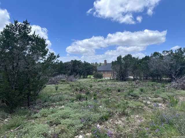 947 SERENE PARK DR, Spring Branch, TX 78070