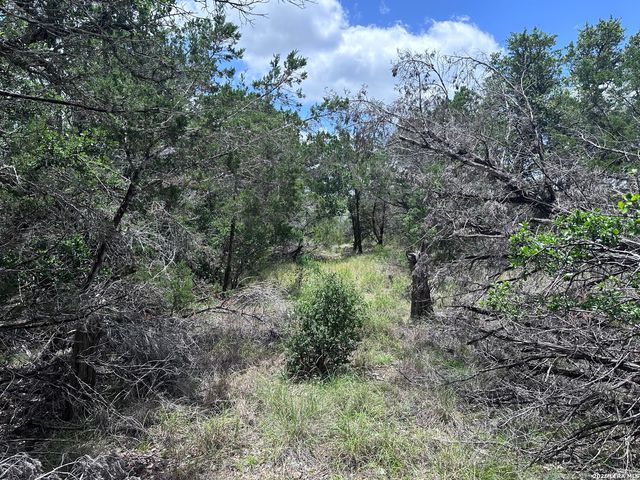 947 SERENE PARK DR, Spring Branch, TX 78070