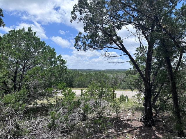 947 SERENE PARK DR, Spring Branch, TX 78070