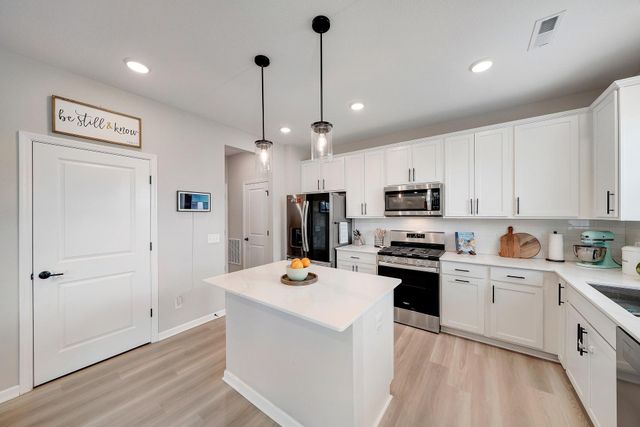12813 Weber Lane, Rogers, MN 55374