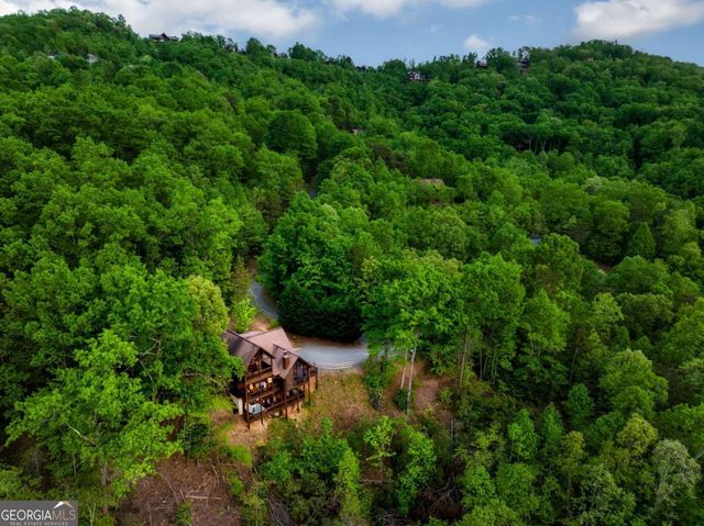 273 Deer Crest Heights, Blue Ridge, GA 30513