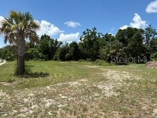 801 S DIXIE AVENUE A, Fruitland Park, FL 34731