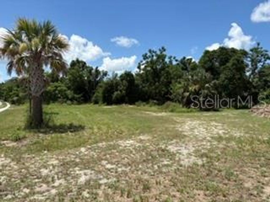 801 S DIXIE AVENUE A, Fruitland Park, FL 34731