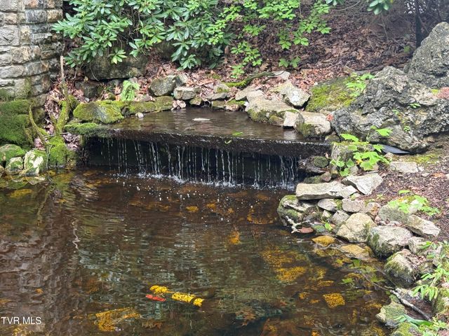 Tbd Watauga Falls Drive Lot 13, Butler, TN 37640