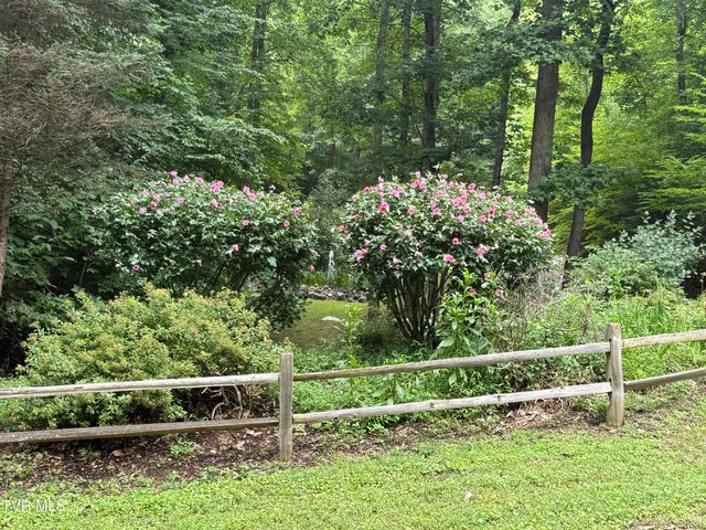 Tbd Watauga Falls Drive Lot 13, Butler, TN 37640