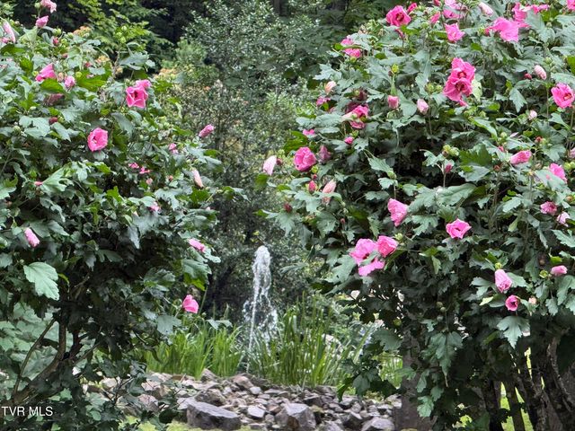 Tbd Watauga Falls Drive Lot 13, Butler, TN 37640