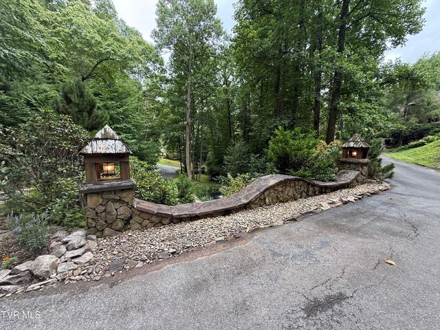 Tbd Watauga Falls Drive Lot 13, Butler, TN 37640