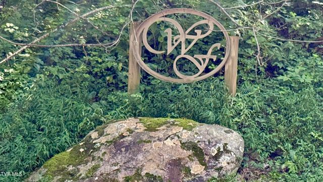 Tbd Watauga Falls Drive Lot 13, Butler, TN 37640