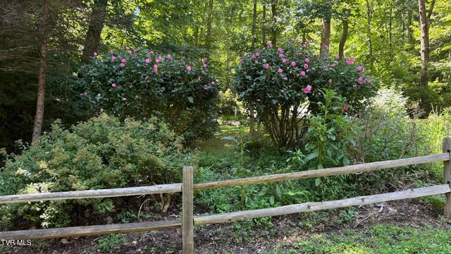 Tbd Watauga Falls Drive Lot 13, Butler, TN 37640