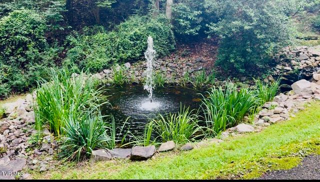 Tbd Watauga Falls Drive Lot 13, Butler, TN 37640