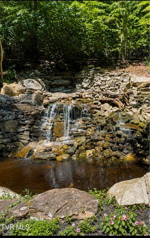 Tbd Watauga Falls Drive Lot 13, Butler, TN 37640