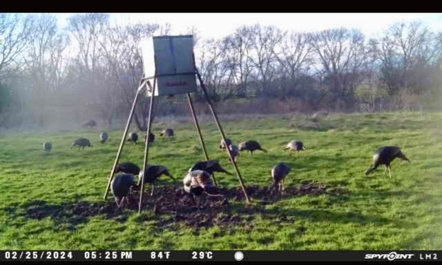 1633 Alexander Road, Moody, TX 76557