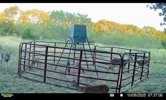 1633 Alexander Road, Moody, TX 76557