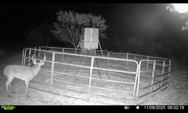 1633 Alexander Road, Moody, TX 76557