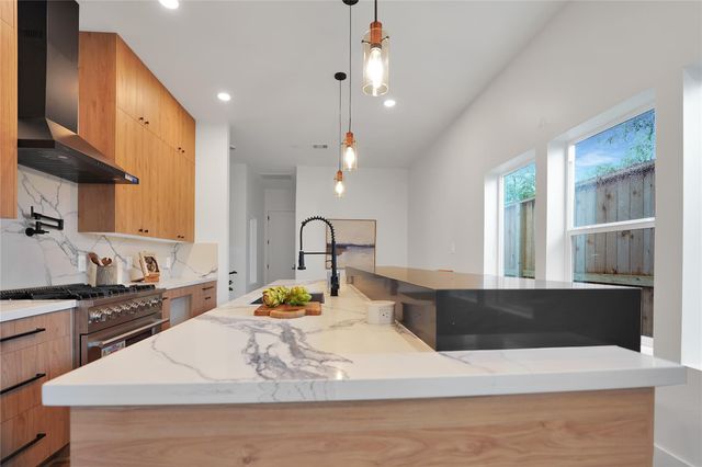 315 Palmer Street, Houston, TX 77003