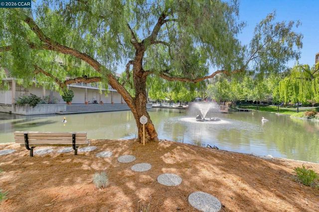 340 N Civic Dr 503, Walnut Creek, CA 94596