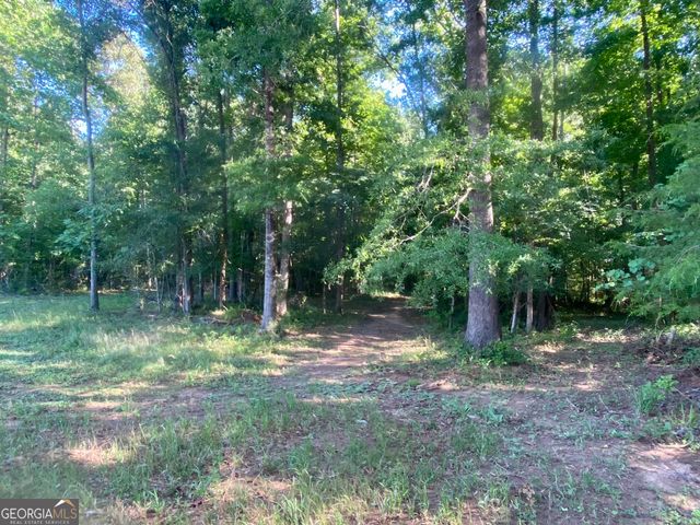 1250 Godfrey Road, Madison, GA 30650