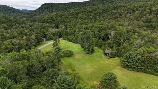 426 Basket Road, Long Eddy, NY 12760