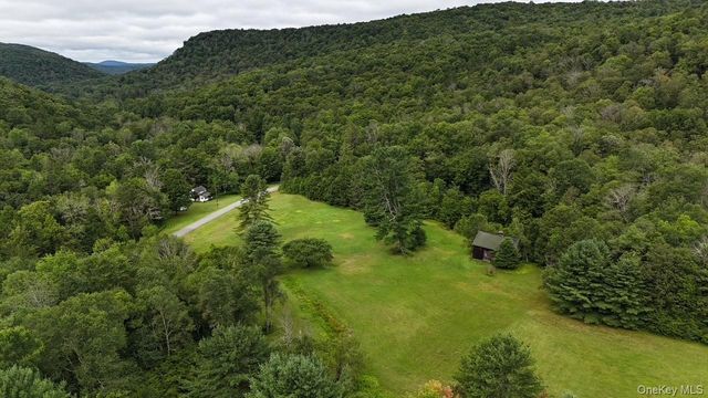 426 Basket Road, Long Eddy, NY 12760