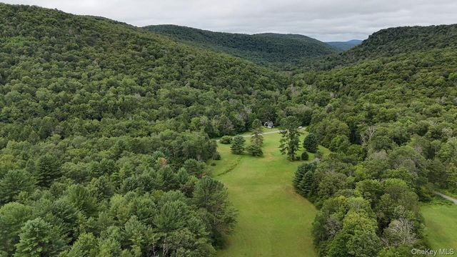 426 Basket Road, Long Eddy, NY 12760