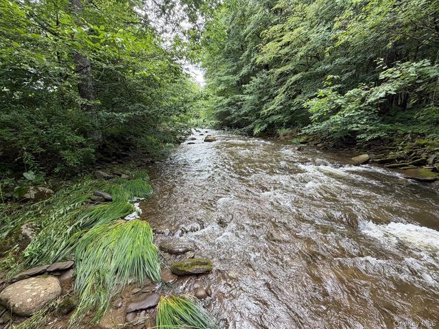 426 Basket Road, Long Eddy, NY 12760