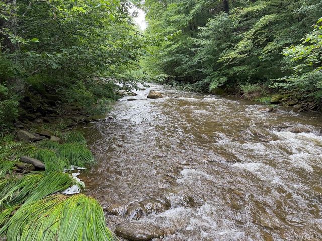 426 Basket Road, Long Eddy, NY 12760