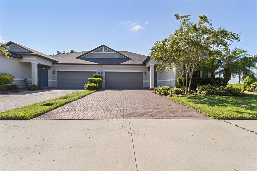 16914 BALANCE COVE, Land O Lakes, FL 34638