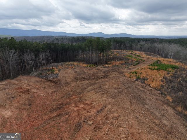 0 Johnson Mountain Road 7401-I, Rydal, GA 30171