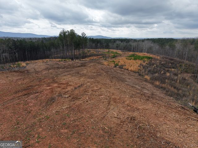 0 Johnson Mountain Road 7401-I, Rydal, GA 30171