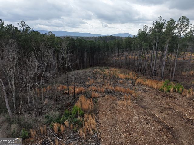 0 Johnson Mountain Road 7401-I, Rydal, GA 30171